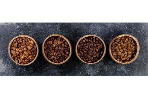 Quatro tipos de grãos de café